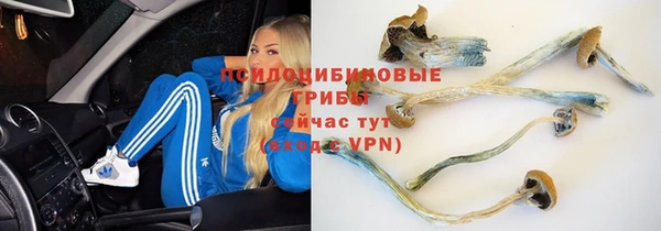 герыч Ладушкин