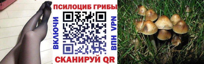 Купить где  Валдай  Галлюциногенные грибы ЛСД 
